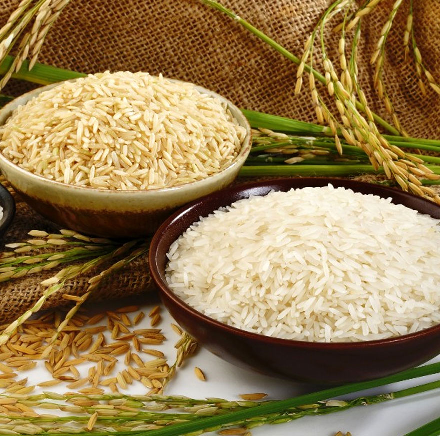 Rice sellers in Tamilnadu