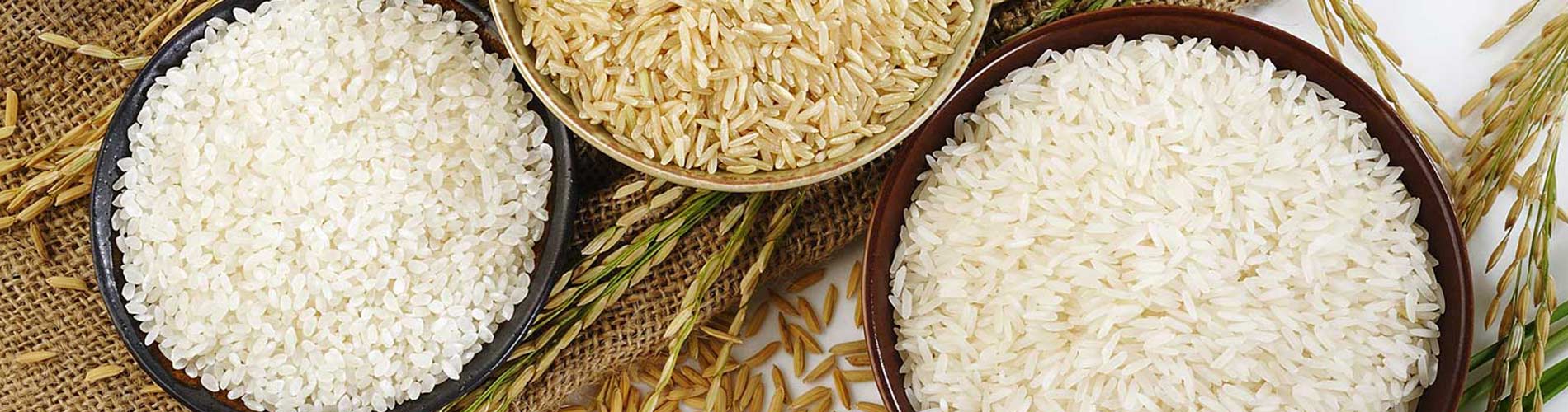 Idly Rice in Tamilnadu
